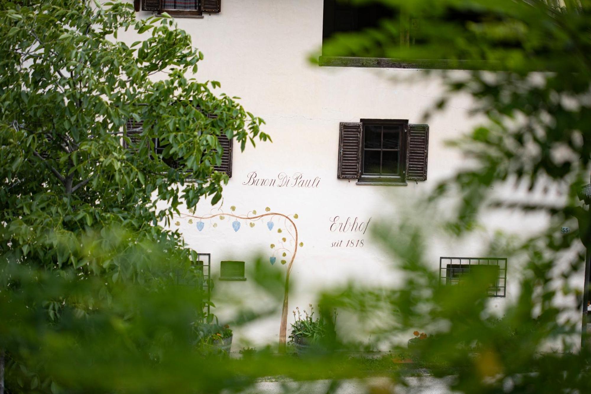 Apartament Arzenhof, Baron Di Pauli Caldaro Zewnętrze zdjęcie
