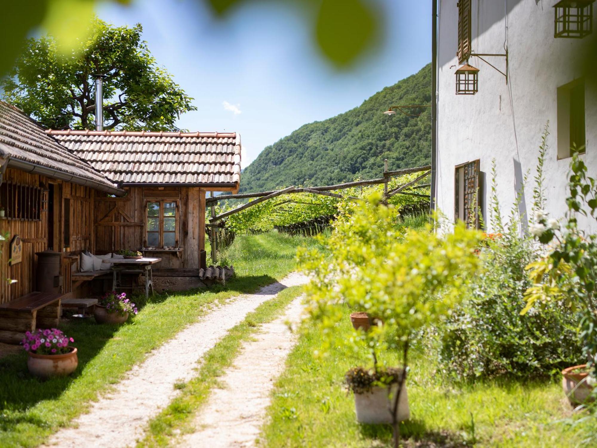 Apartament Arzenhof, Baron Di Pauli Caldaro Zewnętrze zdjęcie