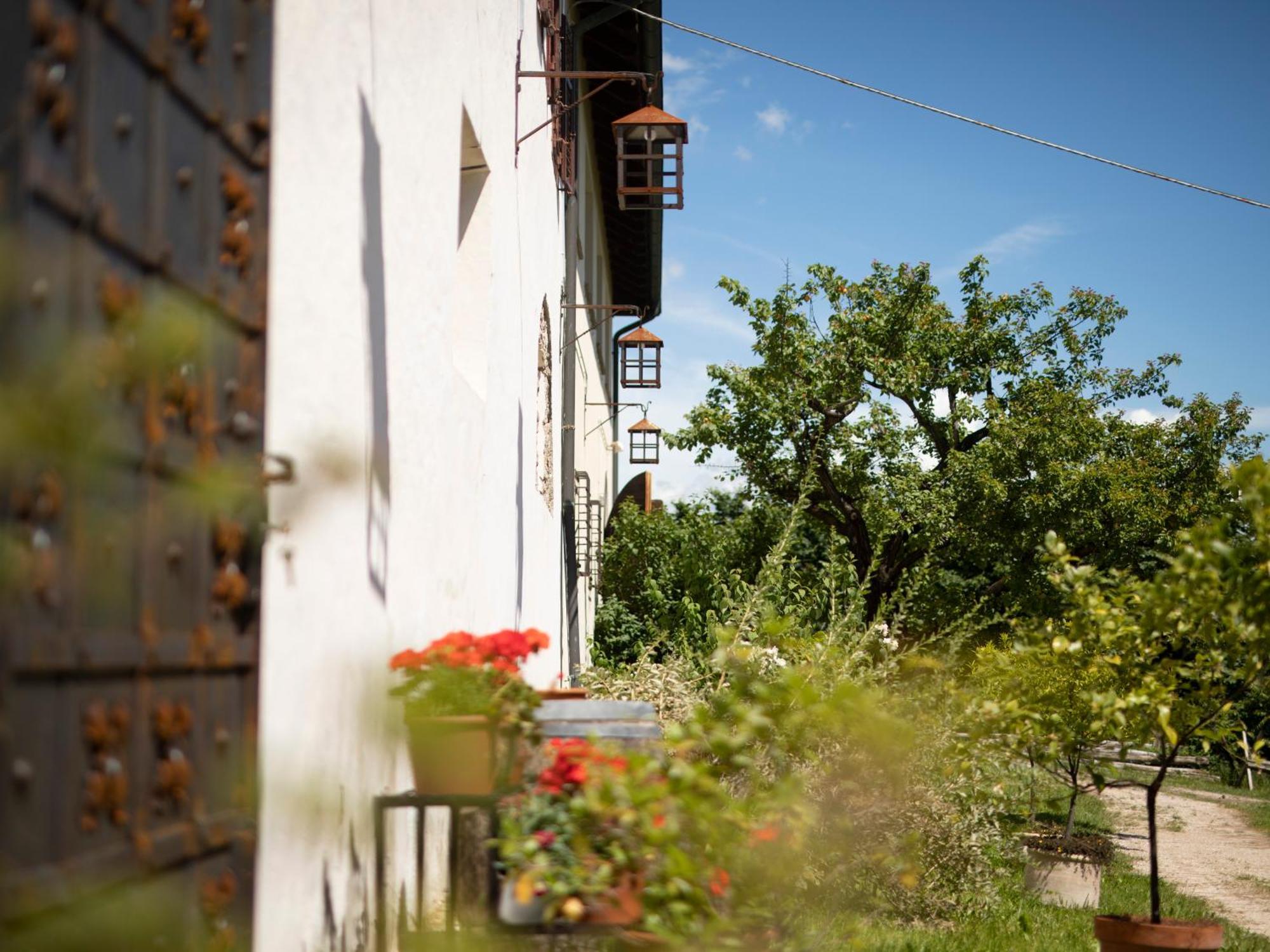 Apartament Arzenhof, Baron Di Pauli Caldaro Zewnętrze zdjęcie